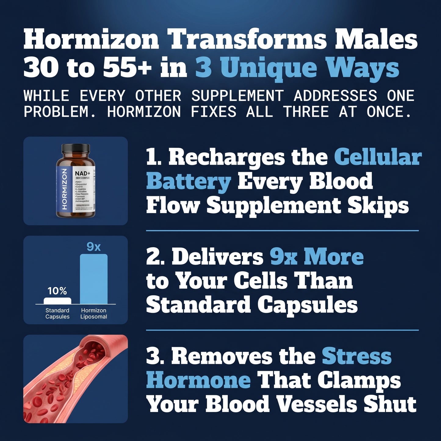 Horimizon Men's Vitality Complex